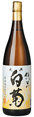 ���� ��� (1.8L)