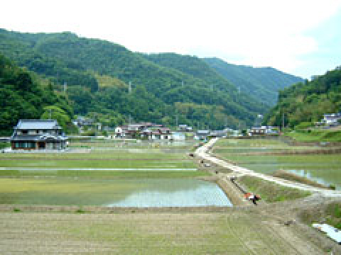 山田綿のイメージ